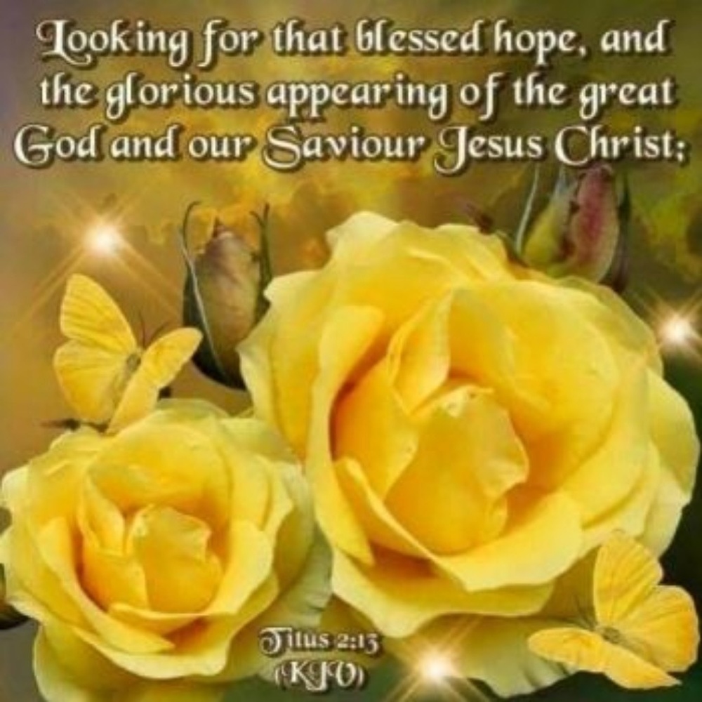 Meet your Posher, Rhoden